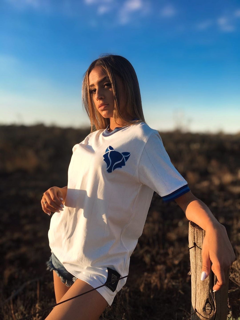 The Fox Away