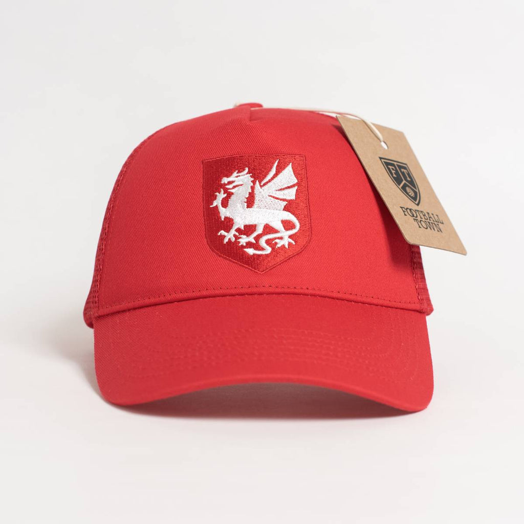 Wales The Dragon Trucker