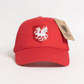 Wales The Dragon Trucker