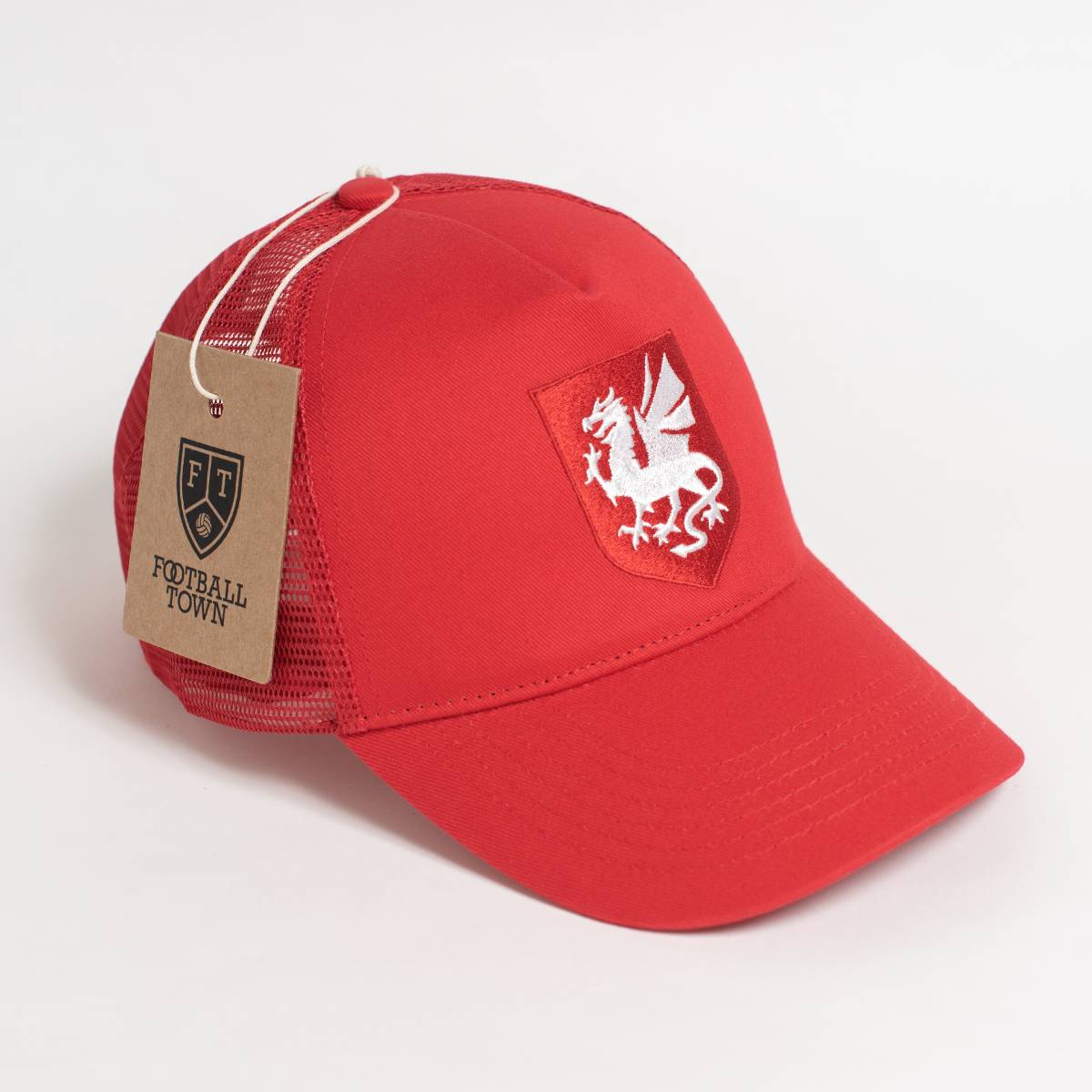 Wales The Dragon Trucker